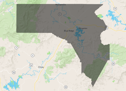 fannin county.png