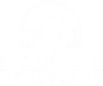 logo (30) 1
