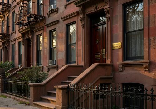 bedford stuyvesant Main Page