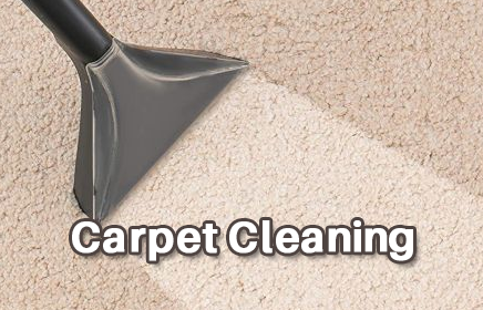 Carpet Cleaning