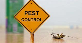 Pest Control