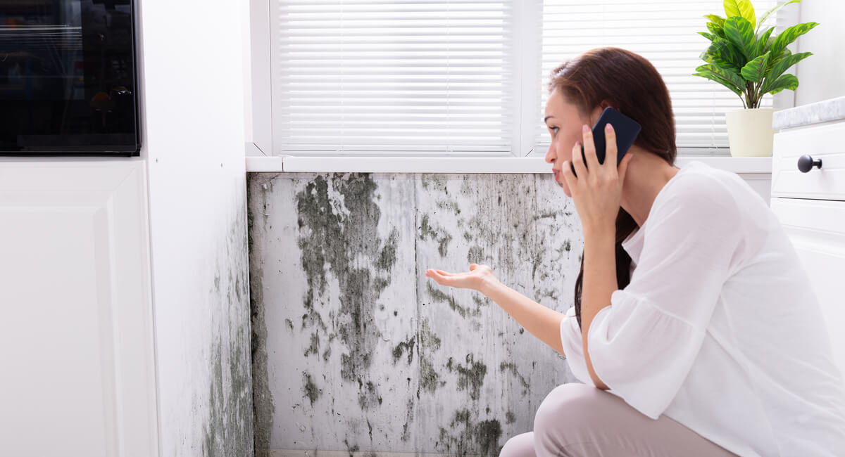 Selling a Home With Mold