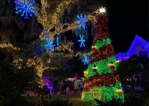 Sarasota's Selby Garden Lights in Bloom