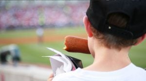 Guide to MLB Spring Training in Florida