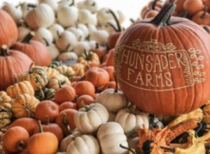 The Hundsader Farms Pumpkin Festival Weekends, October 15-30, 2022 | 9:00am-5:00pm  5500 CR 675, Bradenton, FL, 34211