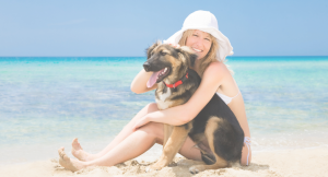 If you're moving to Sarasota, or just looking for a great place to take your furry friend for a walk, you'll want to check out our list of dog-friendly beaches. 