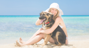 Dog Friendly Beaches Near Sarasota