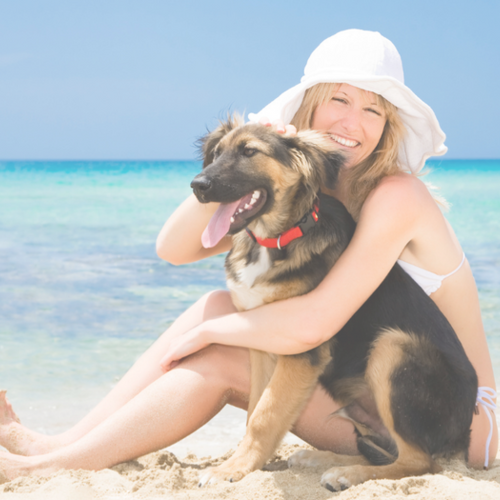 Dog Friendly Beaches Near Sarasota | Sarasota Neighborhood Experts