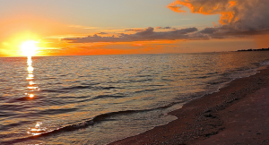  Nokomis Beach has a rich history dating back to the early days of Sarasota. In fact, it was once known as "Hog Island." According to legend, the name change came about when a developer tried to build homes on the island but was stopped by a group of hogs who refused to leave. The developers eventually gave up and the island kept its new name.