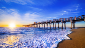 The view of the Venice Fishing Pier from Sharky's -  one of the local's favorite places to unwind and have a great time!