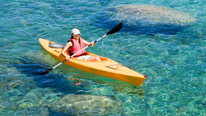 Embarking on an exciting kayak adventure to see the breathtaking beauty of Venetian Waterway Park in Venice, FL
