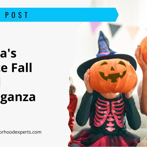 Sarasota's Ultimate Fall Festival Extravaganza: Your One-Stop Guide to Seasonal Bliss!