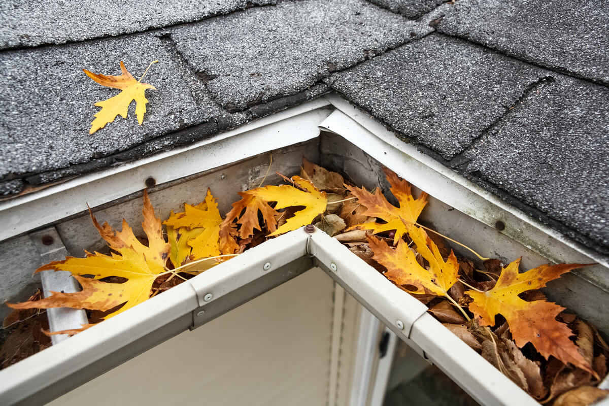 Gutter Maintenance