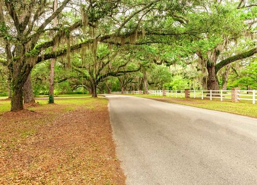 kristi-hill-real-estate-road-trees