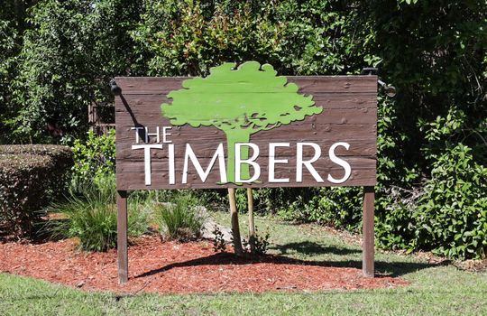 54-The Timbers 1