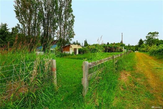 Eddie-stanwood-country-lane