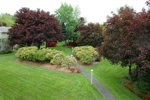 362725-6319-Sandpoint-Wy