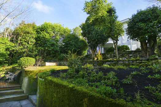 IMG_5184 &#8211; Copy