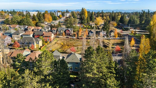 11429 5th Ave SW Seattle, WA-38