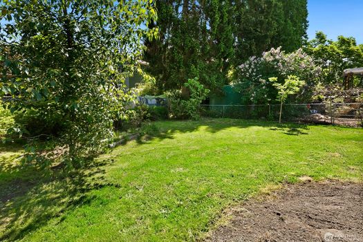 back yard 2