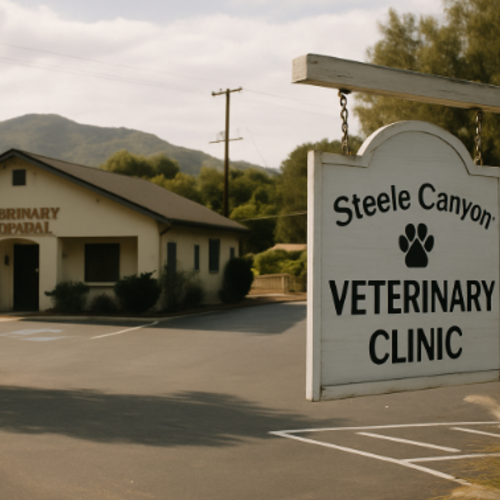 Top-Rated Veterinary Clinics in Jamul