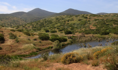 Jamul: Land of Sweet Water and Ancient Roots