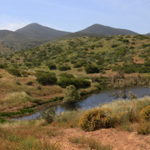 Jamul: Land of Sweet Water and Ancient Roots