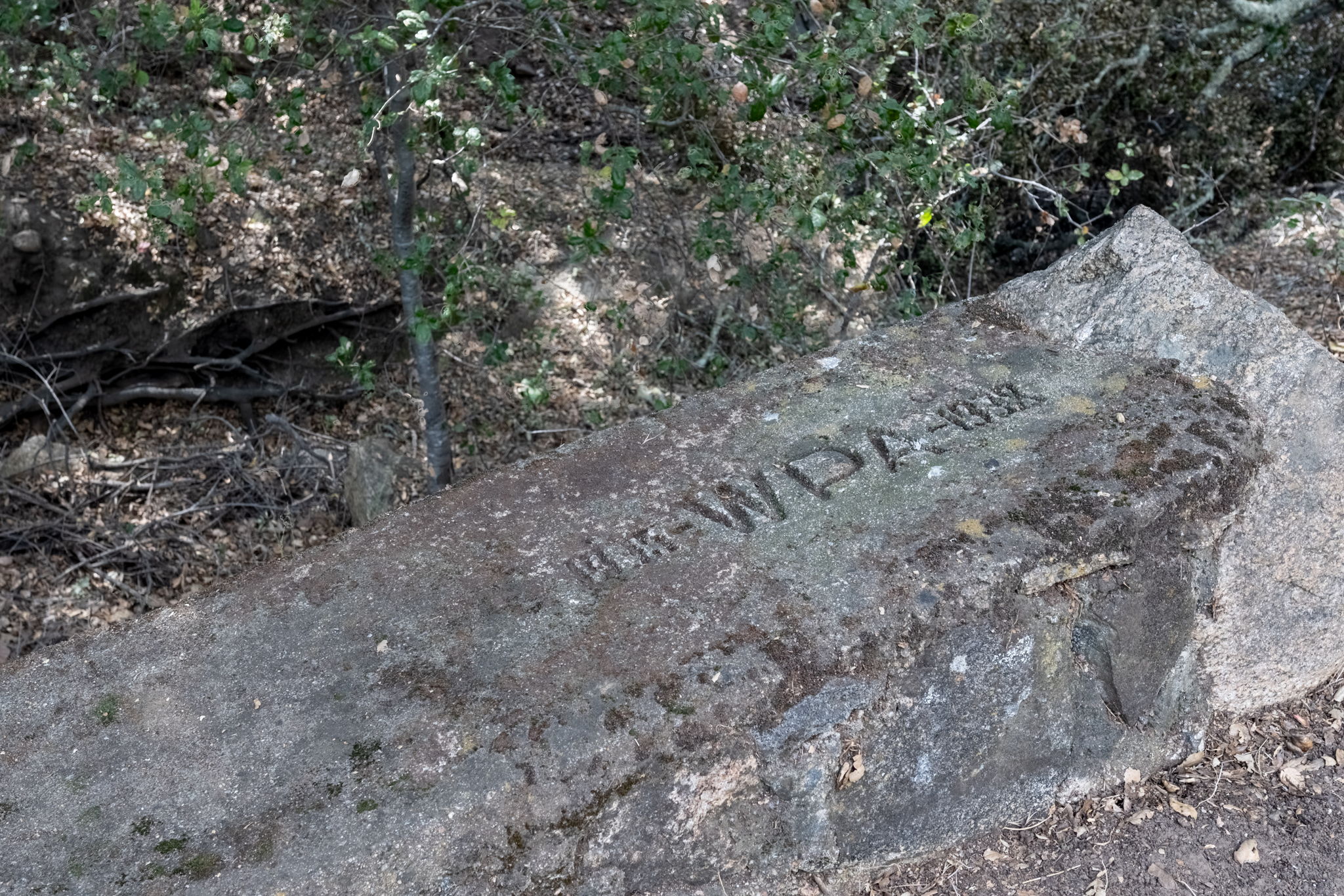 48-web-or-mls-Photo-48