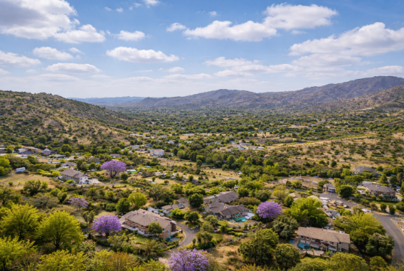 Screenshot 2026-02-03 141950