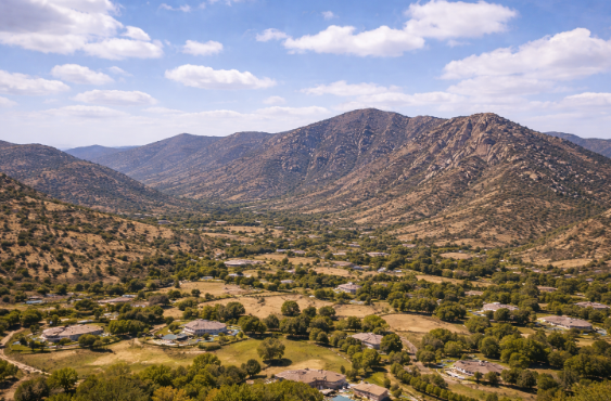 Screenshot 2026-02-03 143238