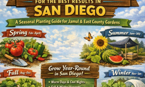 When to Plant for the Best Results in &hellip;