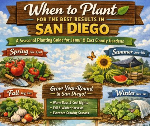 Screenshot 2026-02-17 095421