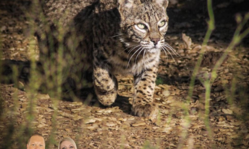 Community Connections Magazine: Connecting Jamul Neighbors