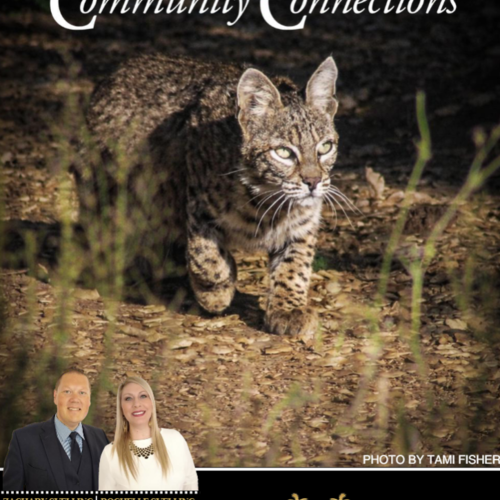 Community Connections Magazine: Connecting Jamul Neighbors