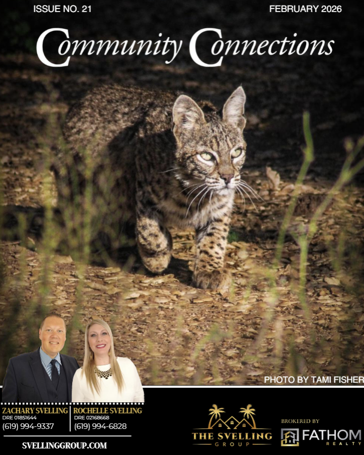 Screenshot 2026-02-17 193902