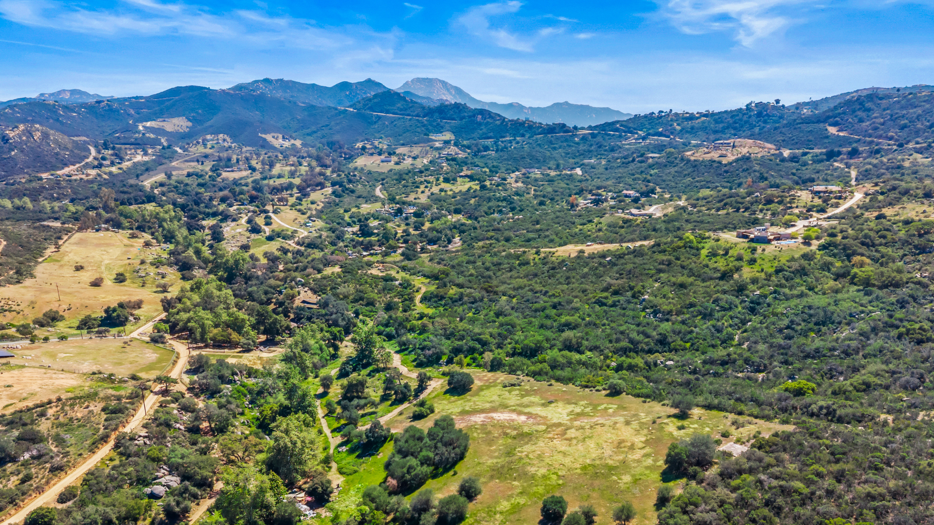 Untitled design (14)