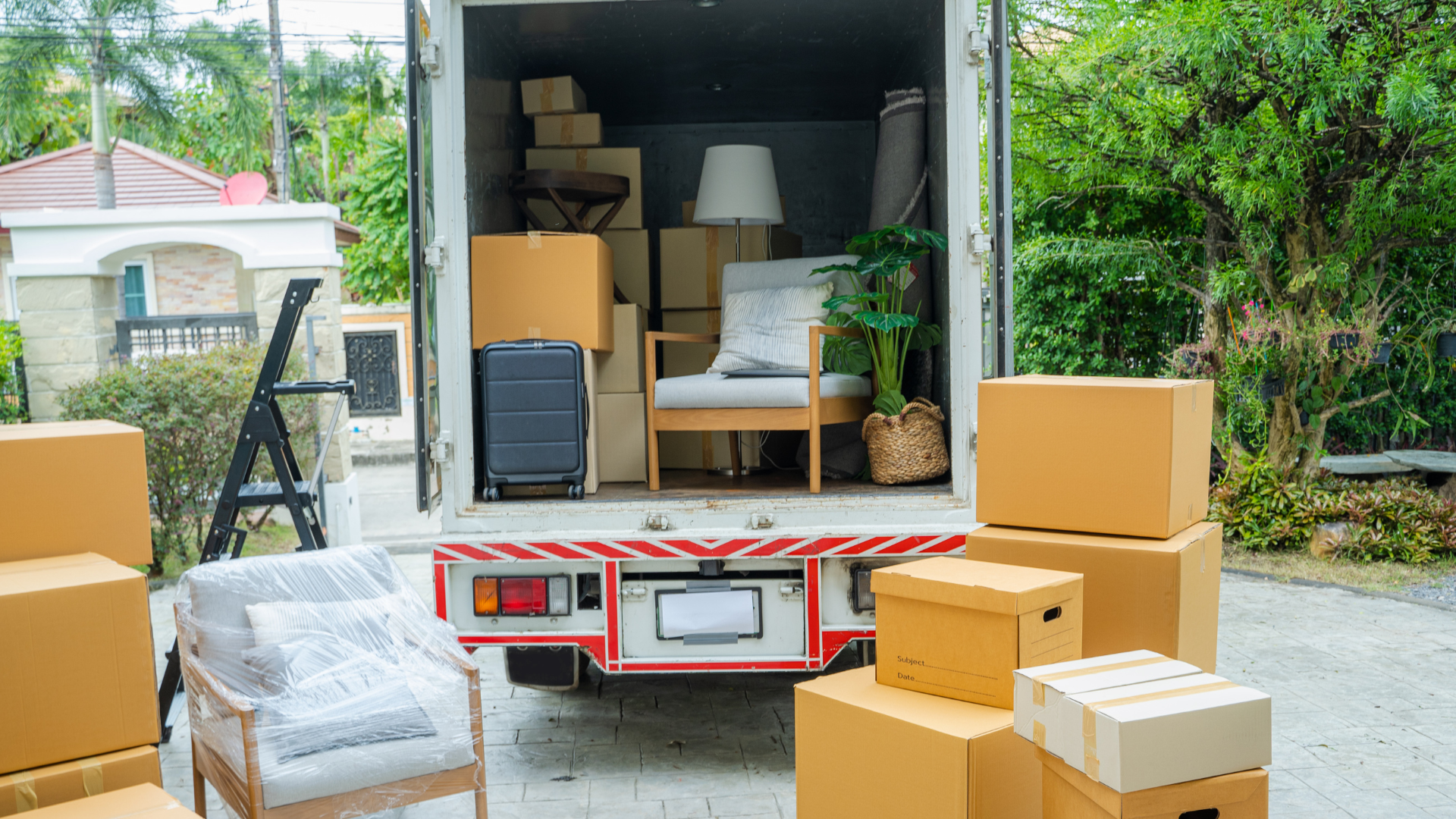 Untitled design (15)