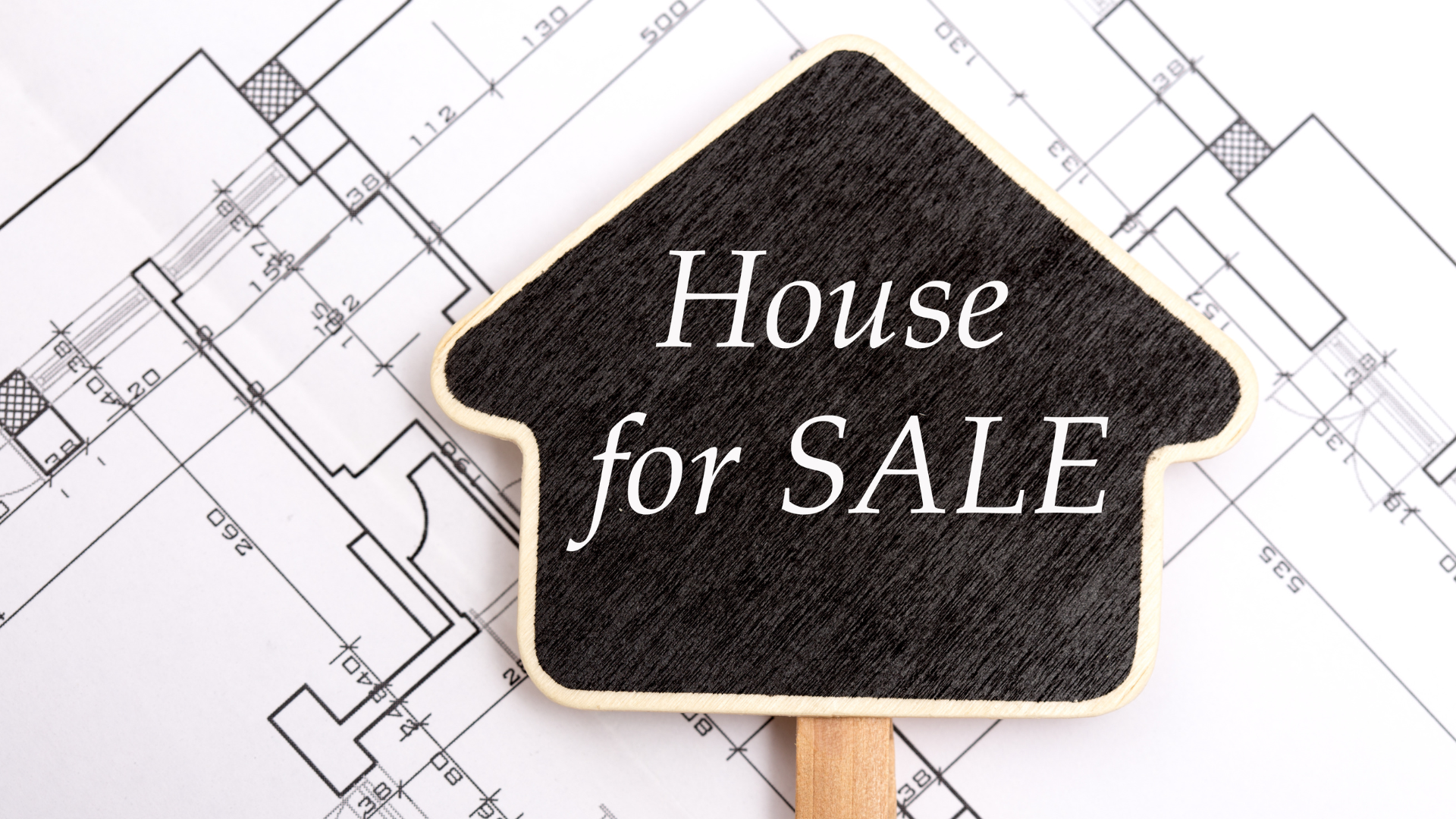 Untitled design (16)