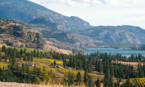 Fall Market Update: Is the Fall a Good …