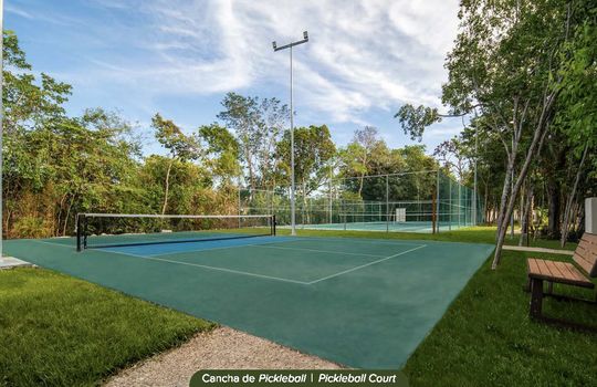 Pickleball Court