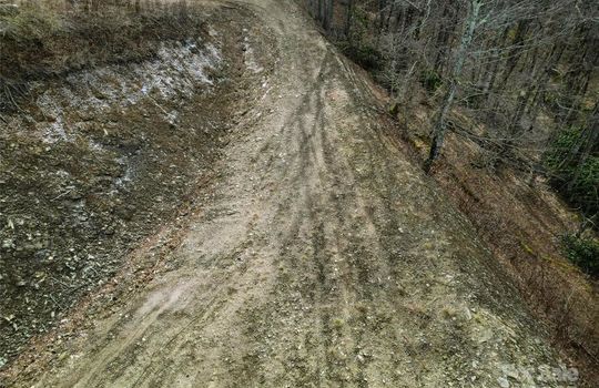 plott balsam 7