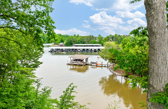 201 white swan dr-9