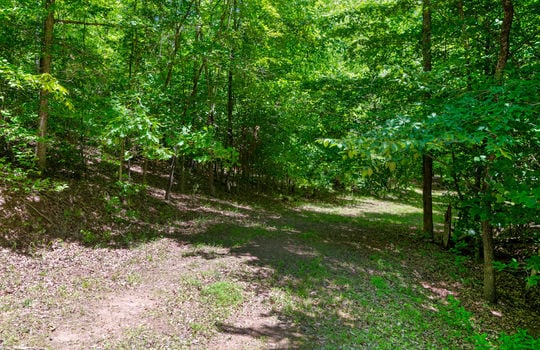 Lot 15 Black Fox Harbor-13