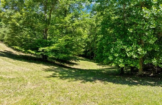 Lot 15 Black Fox Harbor-22