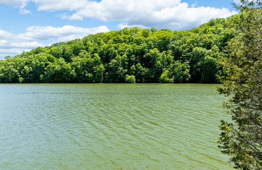 Lot 15 Black Fox Harbor-7