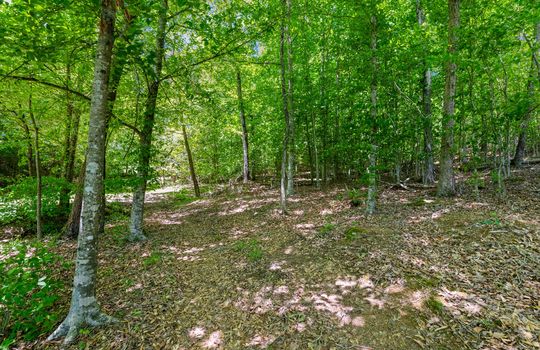 Lot 15 Black Fox Harbor-9