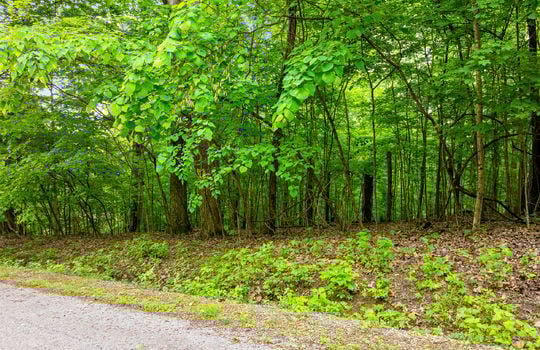 Running Deer Trail Lot-1