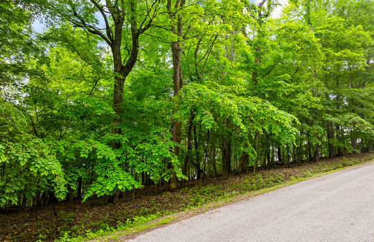 Running Deer Trail Lot-2