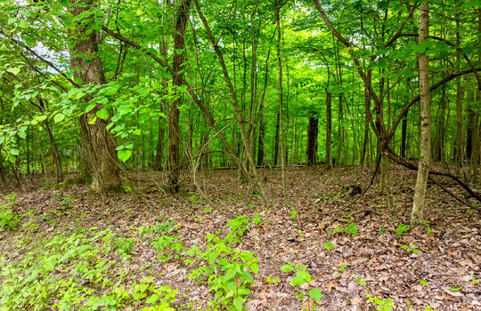 Running Deer Trail Lot-3