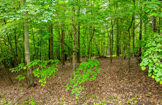Running Deer Trail Lot-6